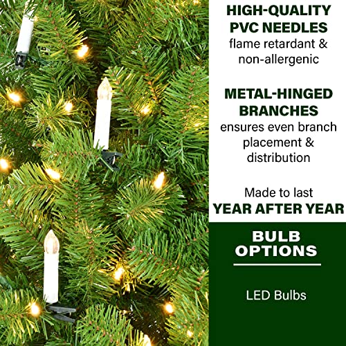 Fraser Hill Farm 7.5-Ft. Vintage Christmas Tree With Classic Candle And Warm White Led Lights | Metal Stand | Festive Holiday Decor | Ffvc075-5Gr, Green #TOP2