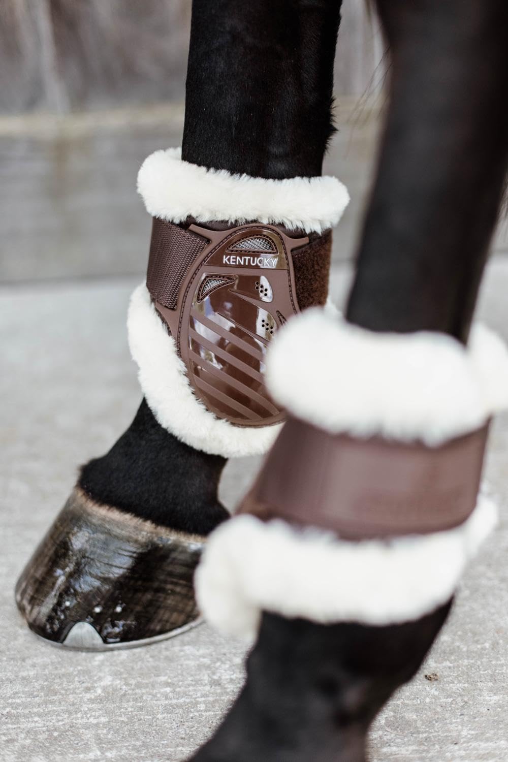 Kentucky - Vegan Sheepskin Young Caballo Fetlock Boots - Brown - Talla XS