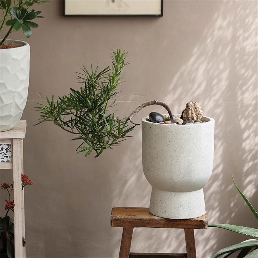 Vasi da giardino Fioriera a forma di tazza con vaso fiori argilla magnesio maculato
