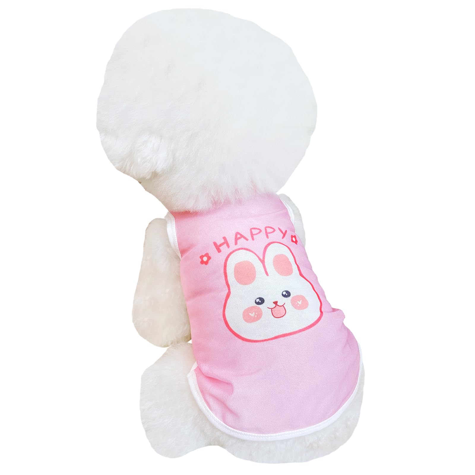 Dog Cooling Tank Top for Summer - Breathable Mesh Small Dog Cooling Clothes, Lightweight Pet Shirt for Outdoor Walking & Heatstroke Preventio