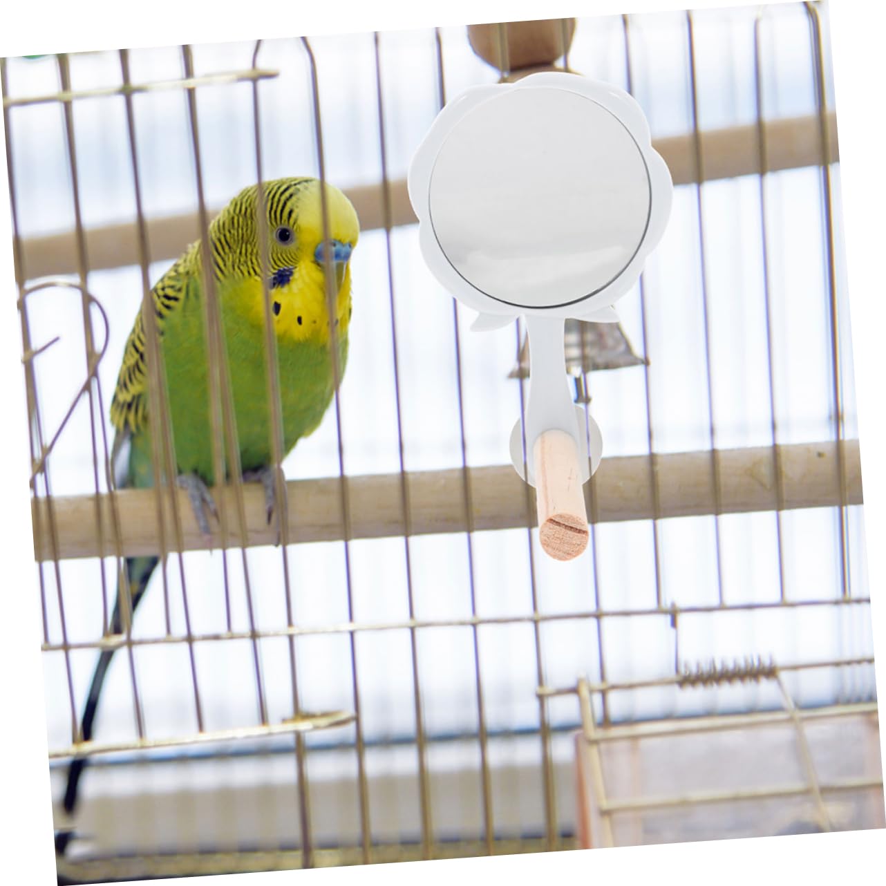 Yardwe 8 Piezas pájaro de Juguete Jaula periquitos Jaula para periquitos jaulas para periquitos Suministros para Aves Percha de Madera para Loros Accesorios para jaulas de pájaros