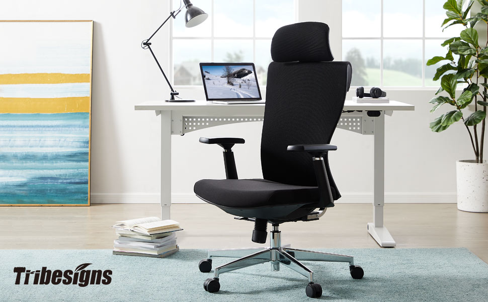 Amazon.com: Tribesigns Ergonomic Office Chair, High Back