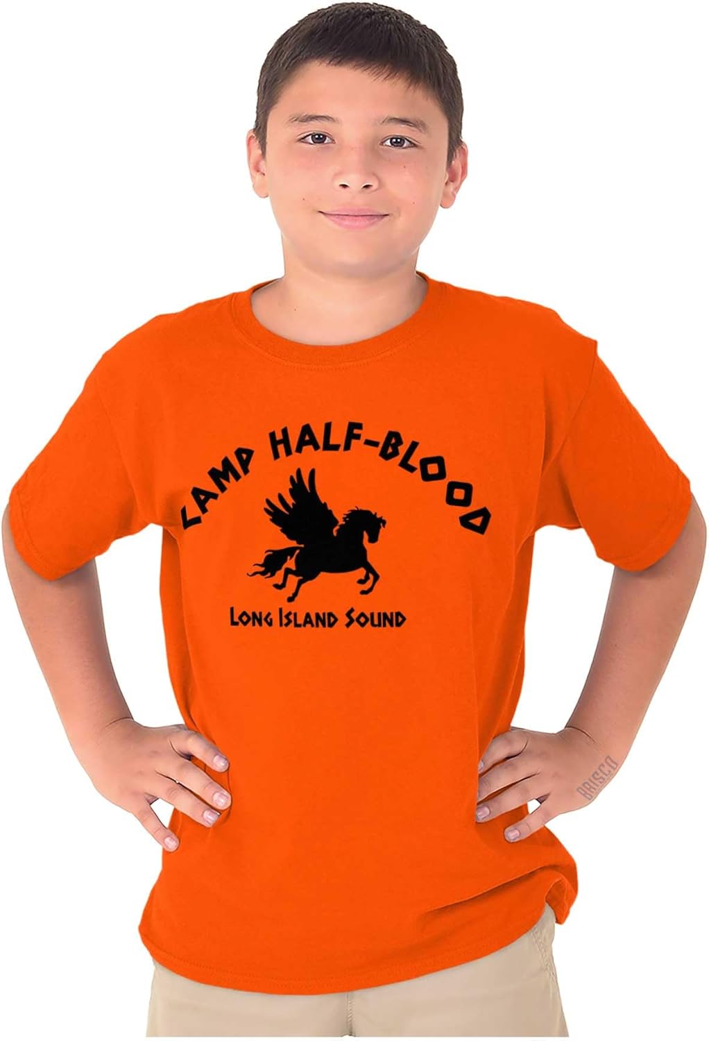 Brisco Brands Camp Half Blood Greek Mythology Crewneck T Shirts Boy Girl - Image 4
