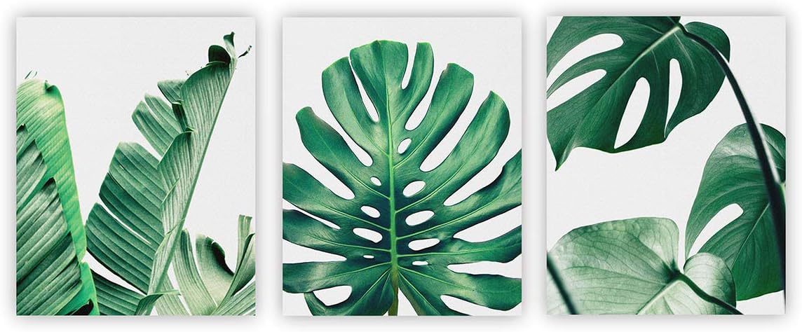 Barri Design Botanical Wall Art Prints Set of 3 Plant Leaf Wall Art Tropical Plants Pictures Palm Banana Monstera Green Leaf Wall Decor for Bedroom Living Room Wall Decorations (UNFRAMED)