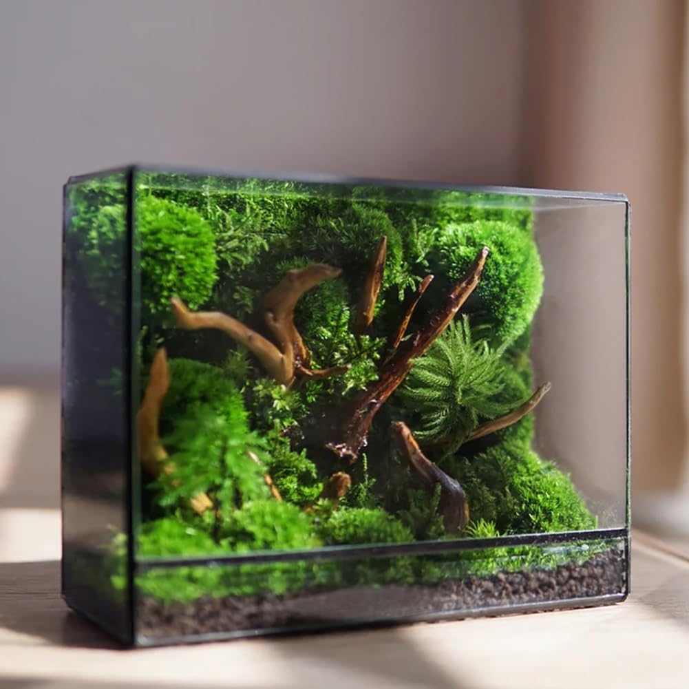 AVCULT Terrario Geométrico Hecho A Mano, Geométrico Maceta Hecha A Mano,Maceta Moderna De Cactus Suculentos, Decoración De Jardín para El Hogar Regalo (Solo Terario) (Color : 19.5 * 8 * 14.5 CM)
