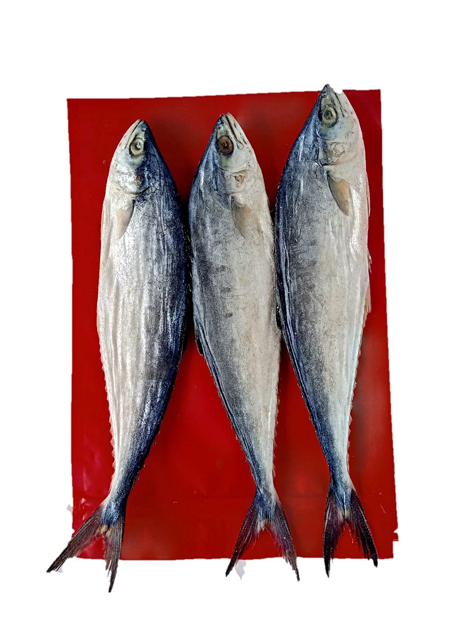 FRESH AROMA Dry Fish Dried Pala Meen/Palaka Meen/ Leather Fish800gm