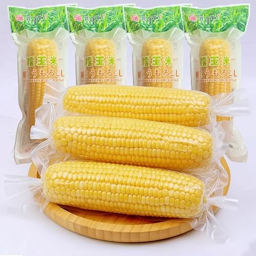 y10{ZbgzXaKOGIWA ʕĖ_ gERV gERV Ƃ낱 ``HEfpȊÂ ^pbN Y dqWOK XC[gR[Ƃ͈قȂ镗 Ɩp