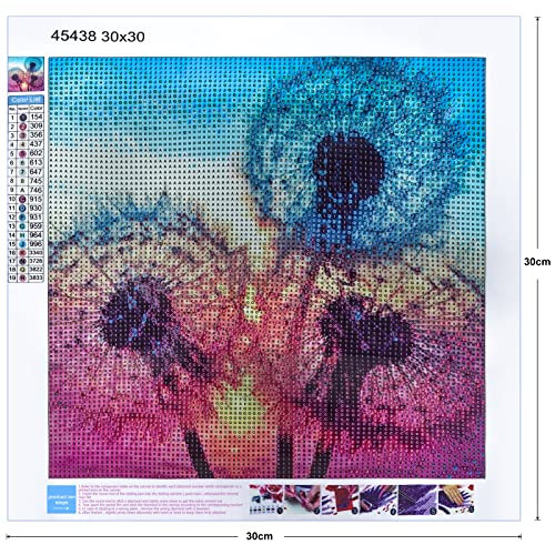 BOOHENKA Diamond Painting Kit Completo, tramonto