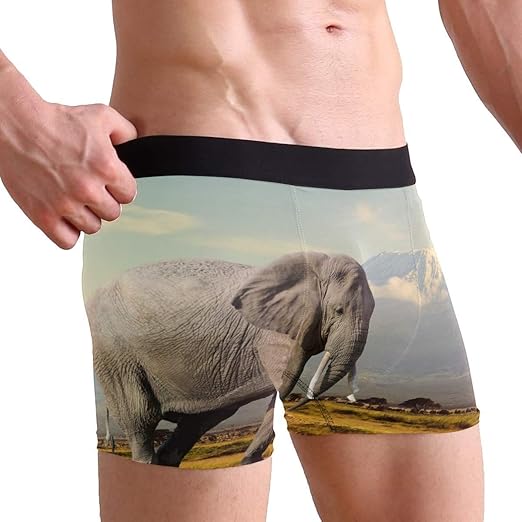 Walking Olifant Mens Boxer Slip Ondergoed Ademend Stretch Boxer Trunk met  Pouch : Amazon.nl: Kleding, schoenen \u0026 sieraden