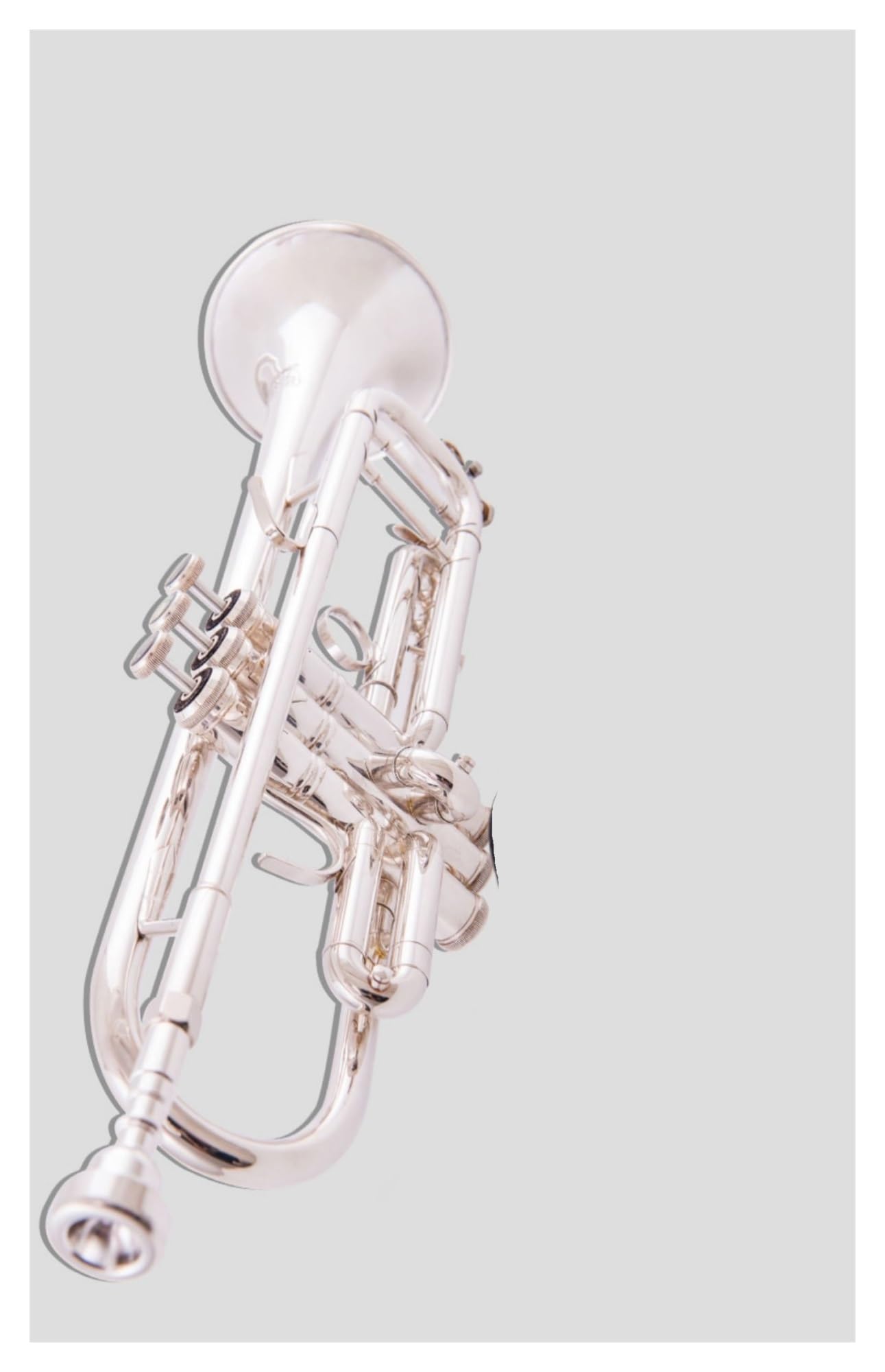 trąbka instrument Trąbka posrebrzana Profesjonalny instrument grający na trąbce B posrebrzanej dla początkujących