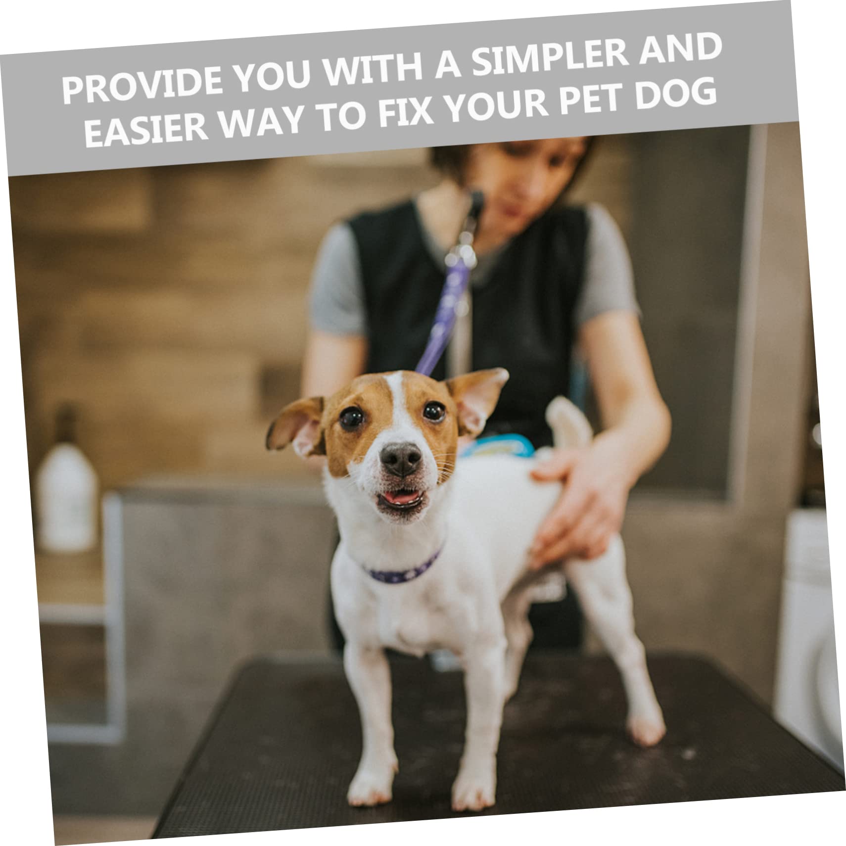 Mipcase Quality Dog Grooming Harness Leash Pet Grooming Table Supplies Rope Bracket