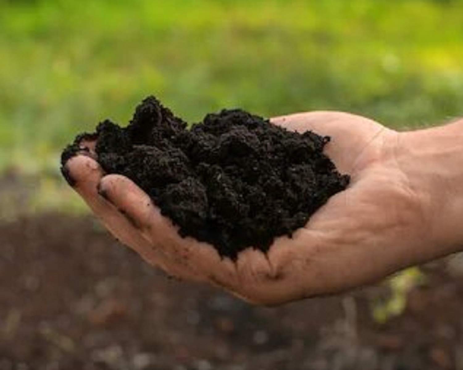 See full amazon price history chart for SAPRETAILER Vermicompost Organic Fertilizer 5Kg SAPRETAILER Vermicompost Organic Fertilizer 5Kg (B087NW9XC2) Amazon Price History, Amazon Price Tracker