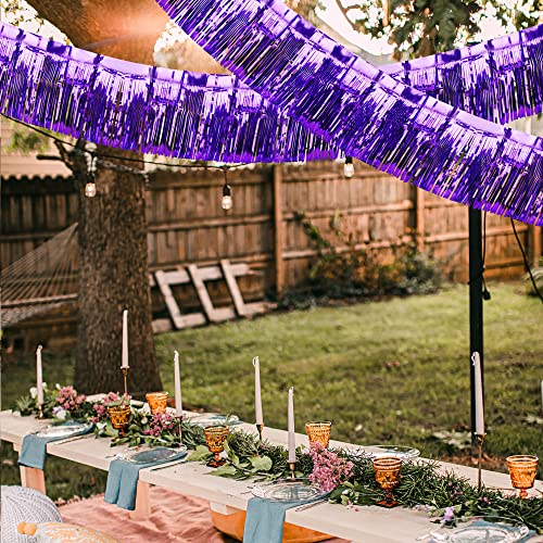 Image of 4 Pack Iridescent Fringe Float Curtain, Metallic Foil Fringe Garland Wall Hanging Drapes Tassel Foil Float for Parade Float Trailer, Birthday Holiday Outdoor /Indoor Party Decoration (Purple)