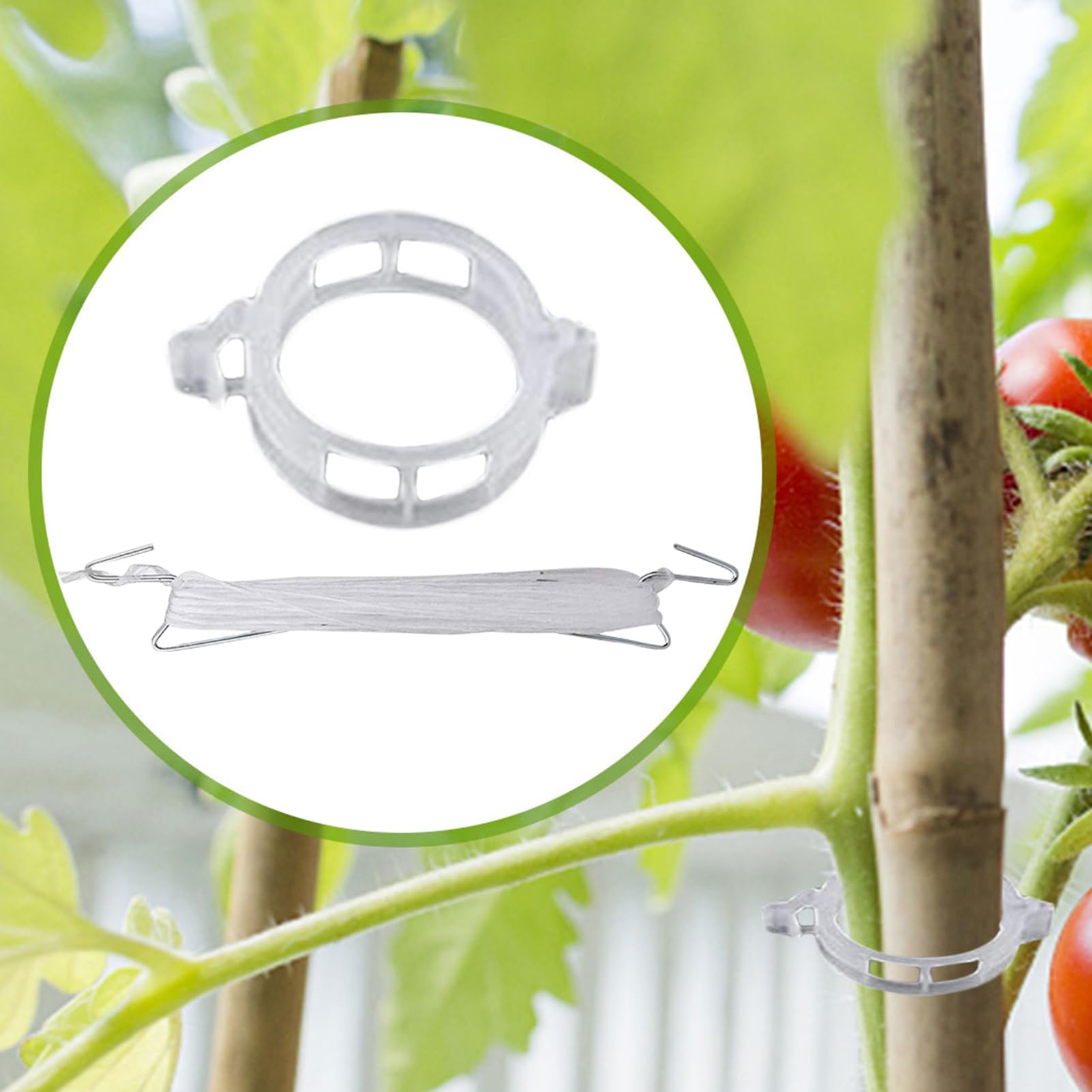 Ganci Per Pomodori 10 Pezzi Supporto Da Giardino Ad Alta Resistenza | Clip Per Piante Da Giardino Ganci Pomodori Con Spago Per Esterno Verdura Frutta Piante Fiori Cetriolo Anguria Uva Luffa