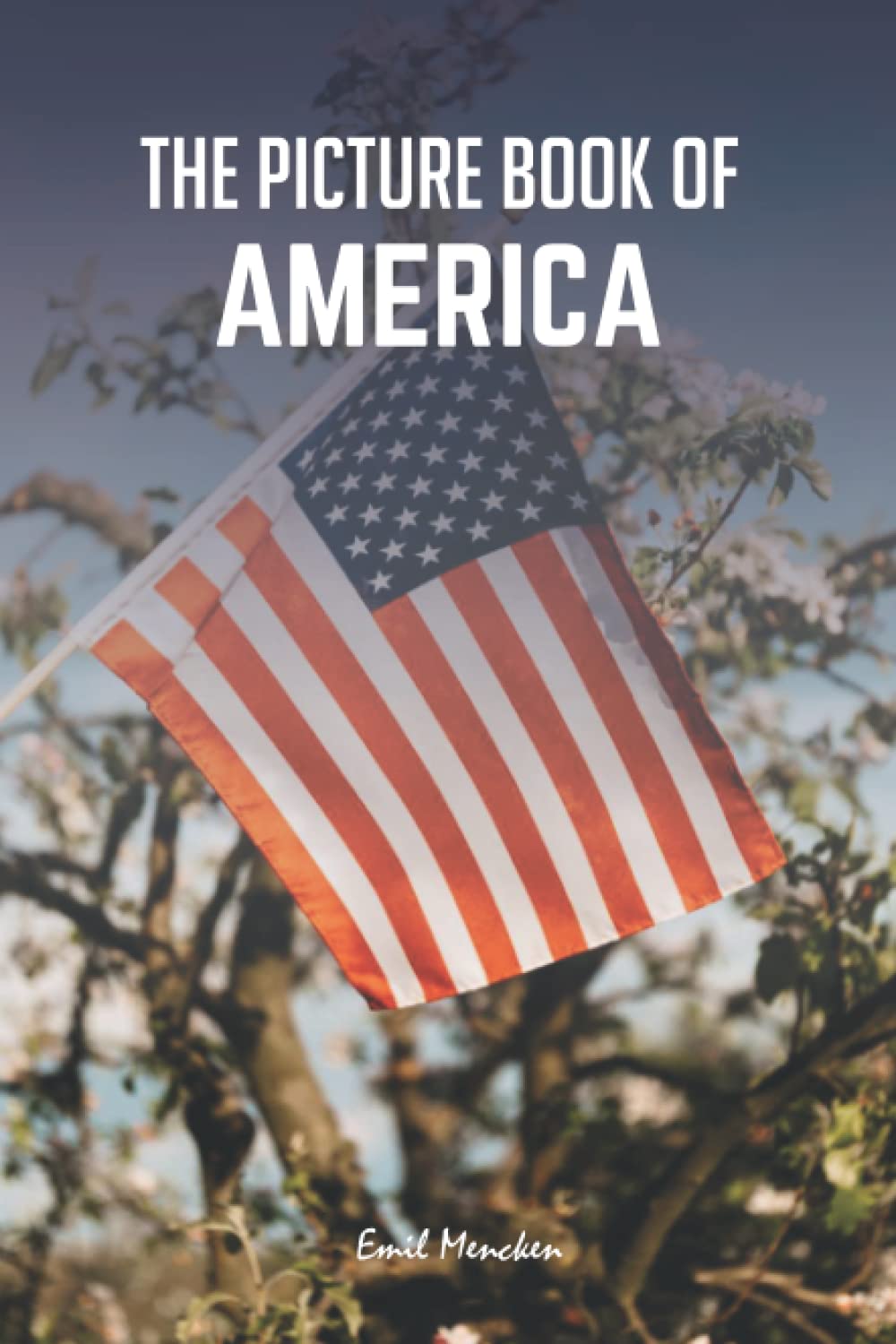 The Picture Book of America : for Seniors with Alzheimer's and Dementia.