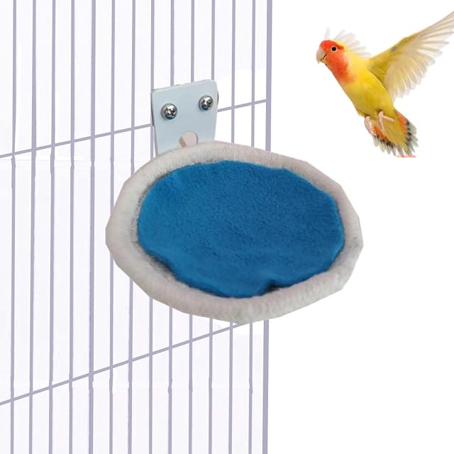Foto 6 de 8 de pájaro para jaula - cría para pájaros pequeños para periquito