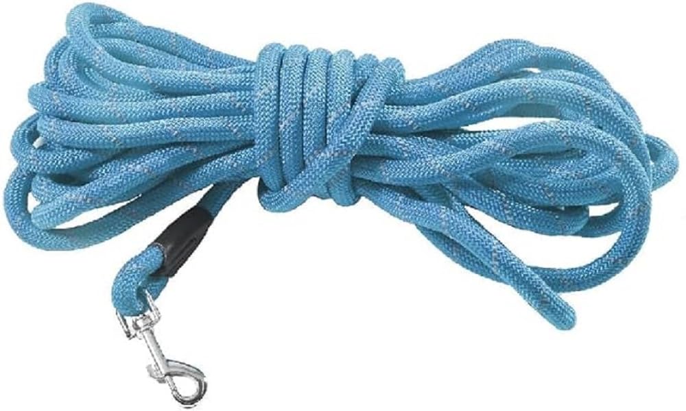 Bobby Walk 10 M - Dog Lead 3 Metres/1.2 cm Thick Tubular Dog Lead, Strong Nylon, Blue, 10 Metres