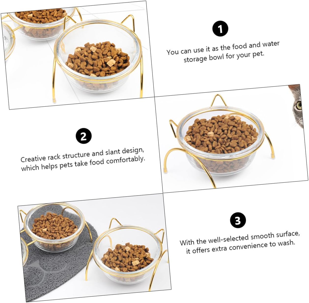 Elevated Glass Cat Bowl 15° Tilted Gold Stand – Neck-Saving Orthopedic Feeder for Indoor Cats & Small Dogs