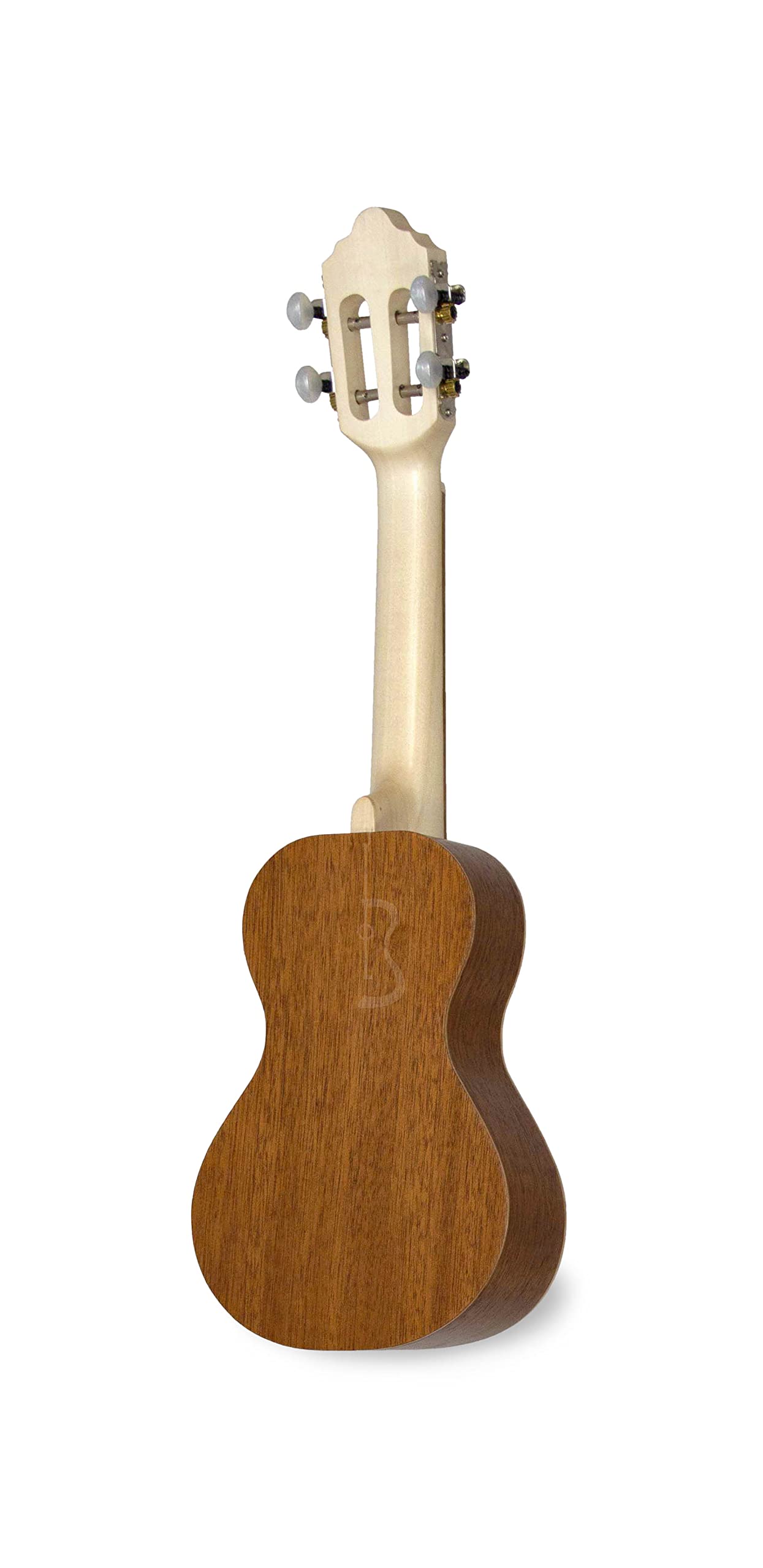 APC Instruments 100 - Instrumento de cuerdas