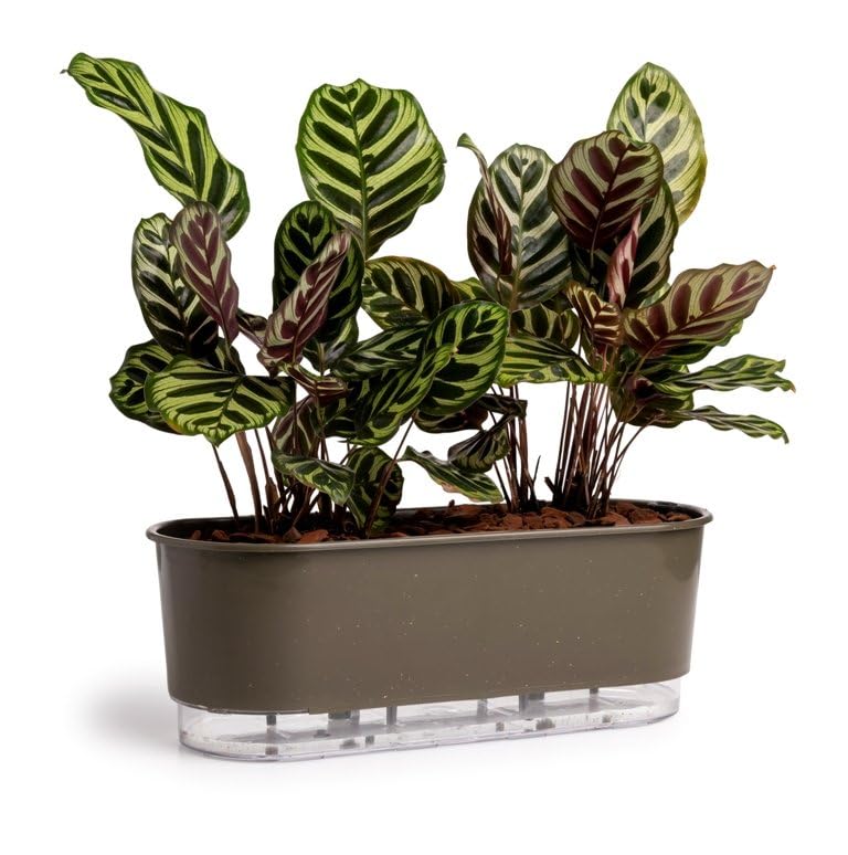 Jardineira Autoirrigável 40cm x 16cm - Terrazzo Basalto