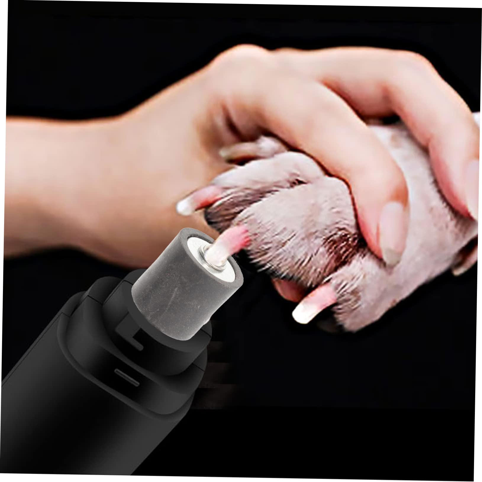 POPETPOP 4ensembles Outils De Beauté pour De Chiens Kit De Tonte De Griffes pour Chiens Et Chats De Coupe- Pratique pour Animaux Domestiques