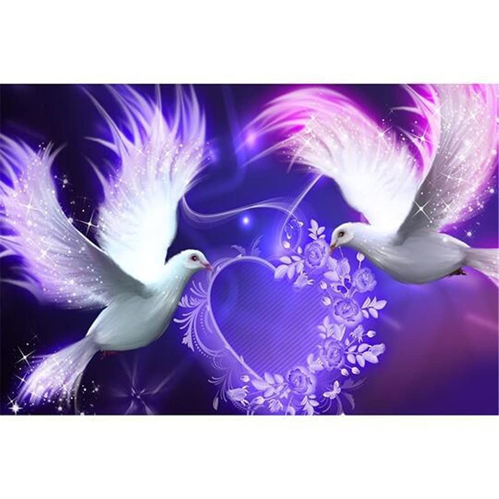 Broderie Diamant 5D Grand Format Oiseaux pour Calme et Détente