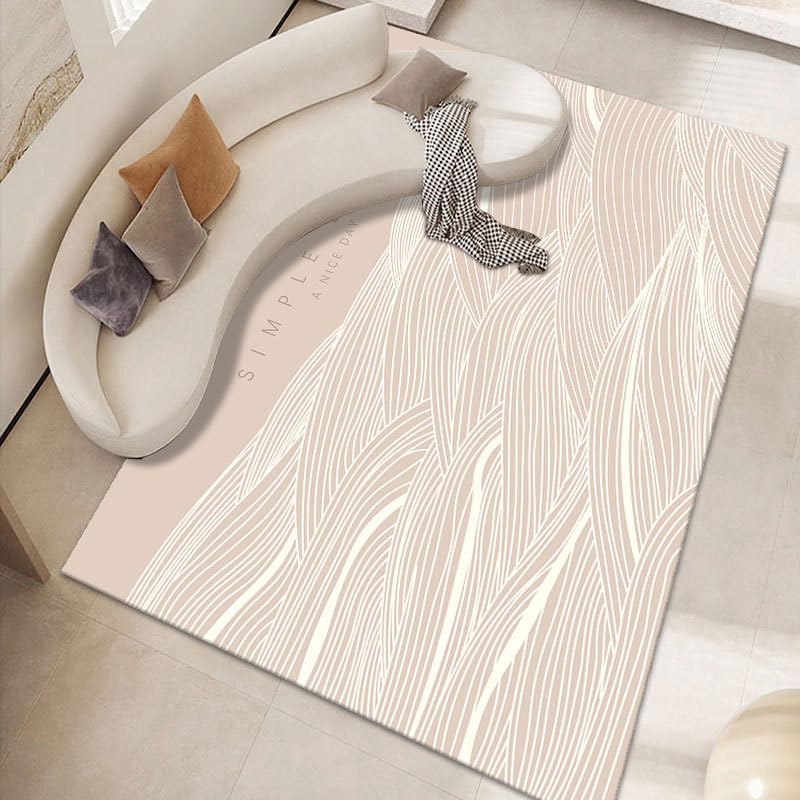Tapis de salon grand 200x250cm beige abstrait moderne et lavable