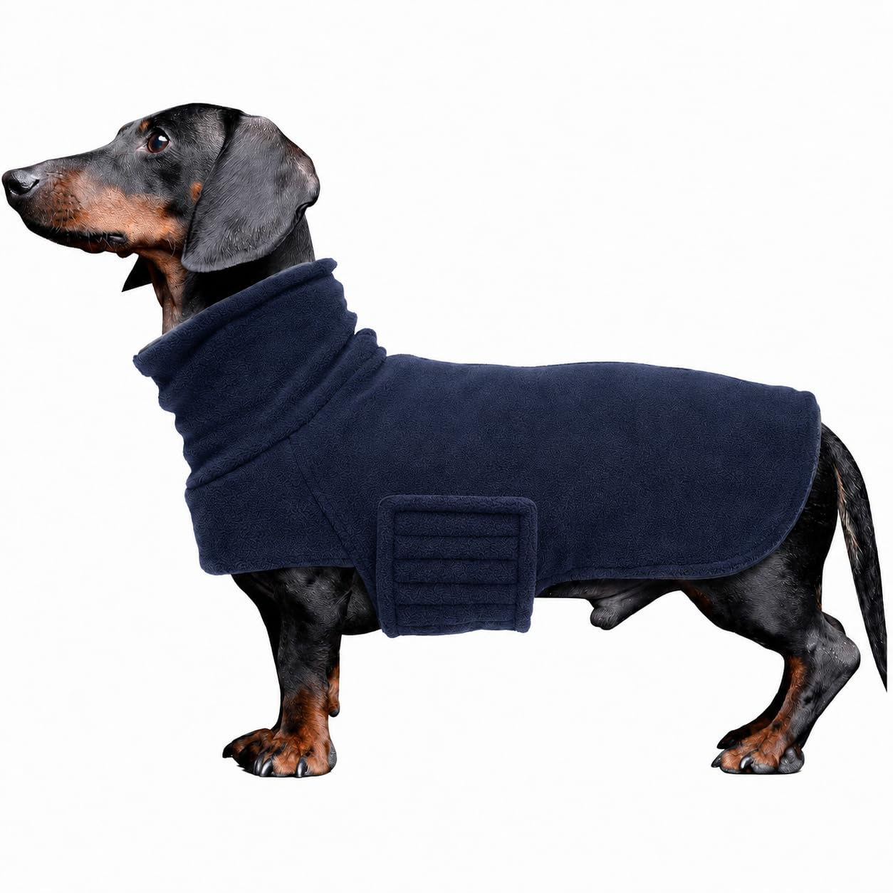 Dachshund Coat Geyecete Dog Winter Coat,High Neck Fleece With Lead Opening