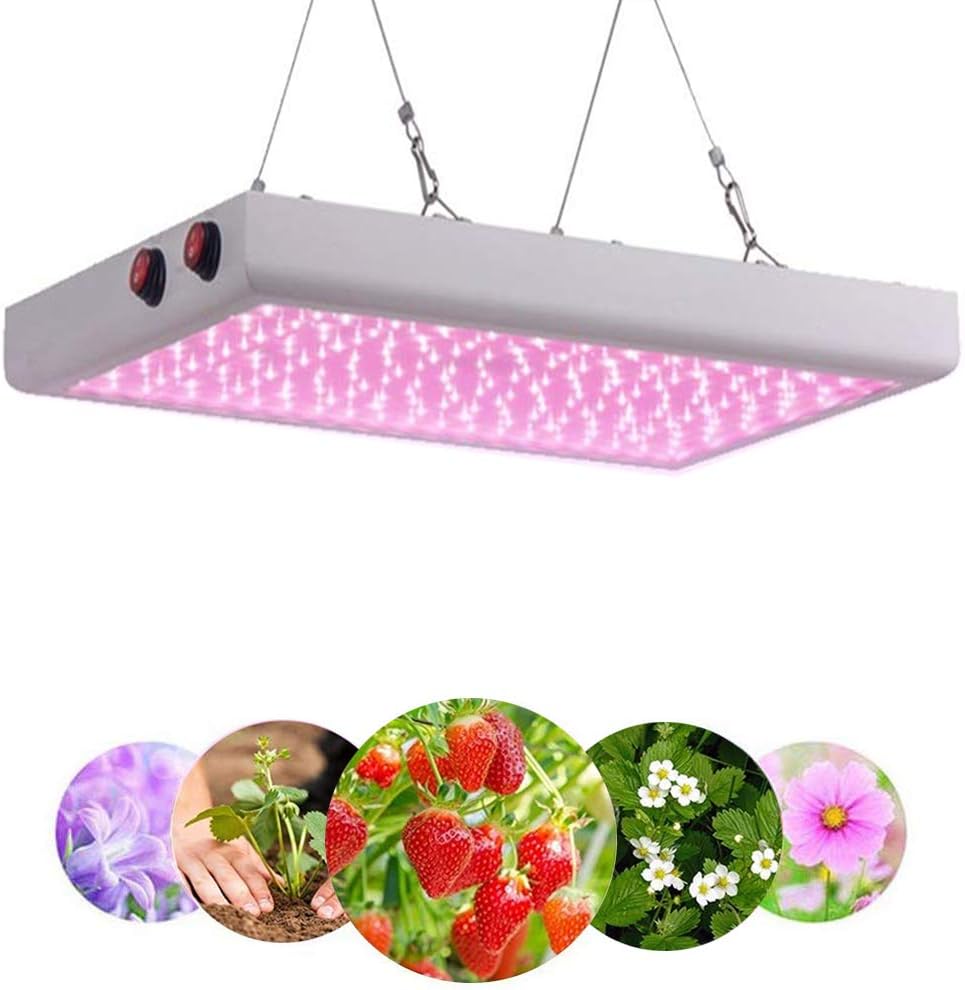 LED Grow Lights for Indoor Plants, 1000W Equivalent Plant Growth Light Full Spectrum