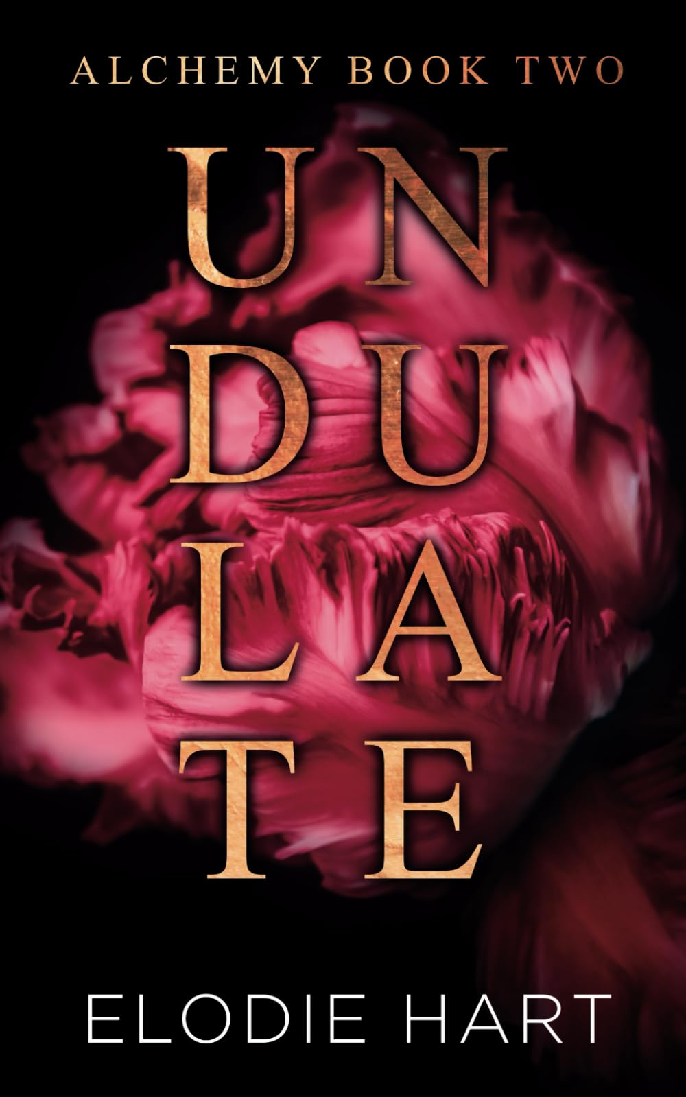Undulate: A Hot Age Gap, Single Dad Romance (Alchemy)