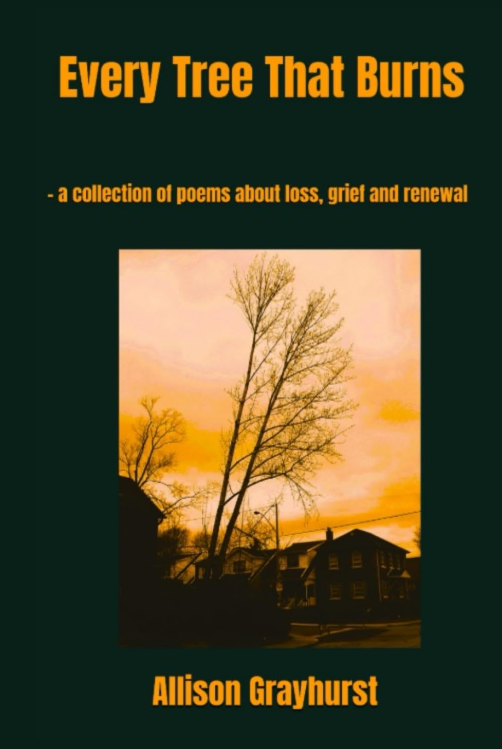 Every Tree That Burns: - a collection of poems about loss, grief and renewal