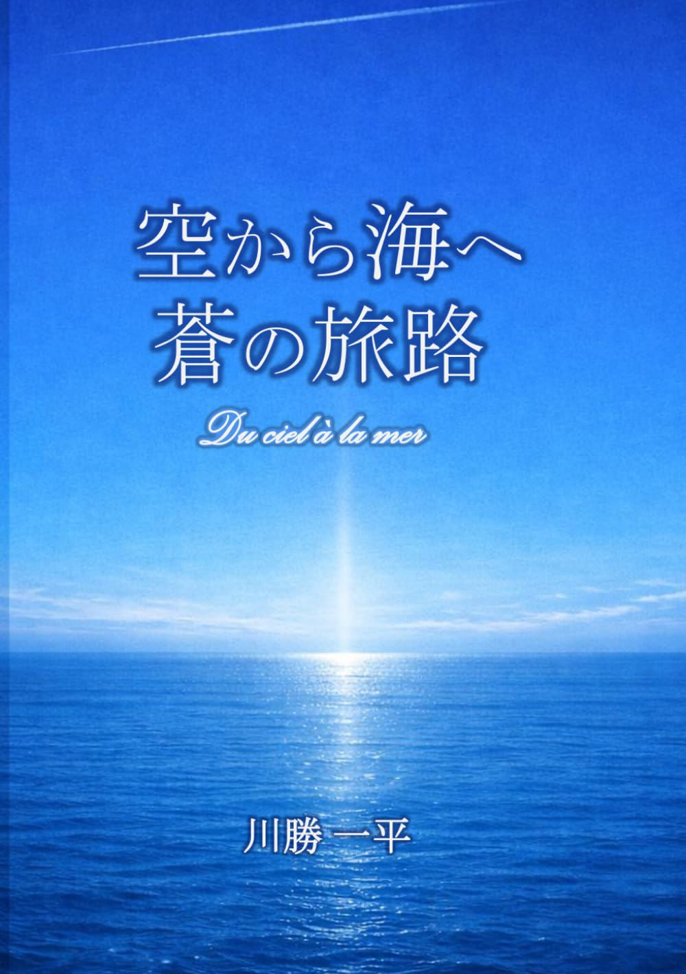 空から海へ 蒼の旅路 The Wings of the Two Blues: A Pilot's 20,944
