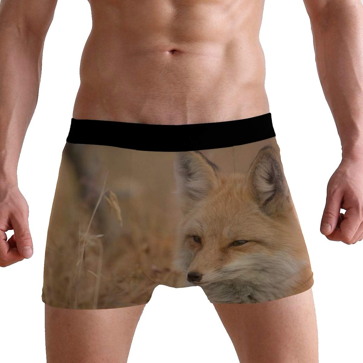 Fox boxer shorts Clearance