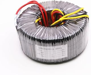 HIHSYEWYB 300W Audio Doble 27V Cobre Puro Toroidal(115V)