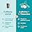 Neuro Energy & Focus Mints - Sugar Free Breath Mints with 80mg Natural Caffeine, B Vitamins & L-Theanine - Vegan Brain Supplement for Exercise, Study & Daily Focus - Wintergreen, 72 ct