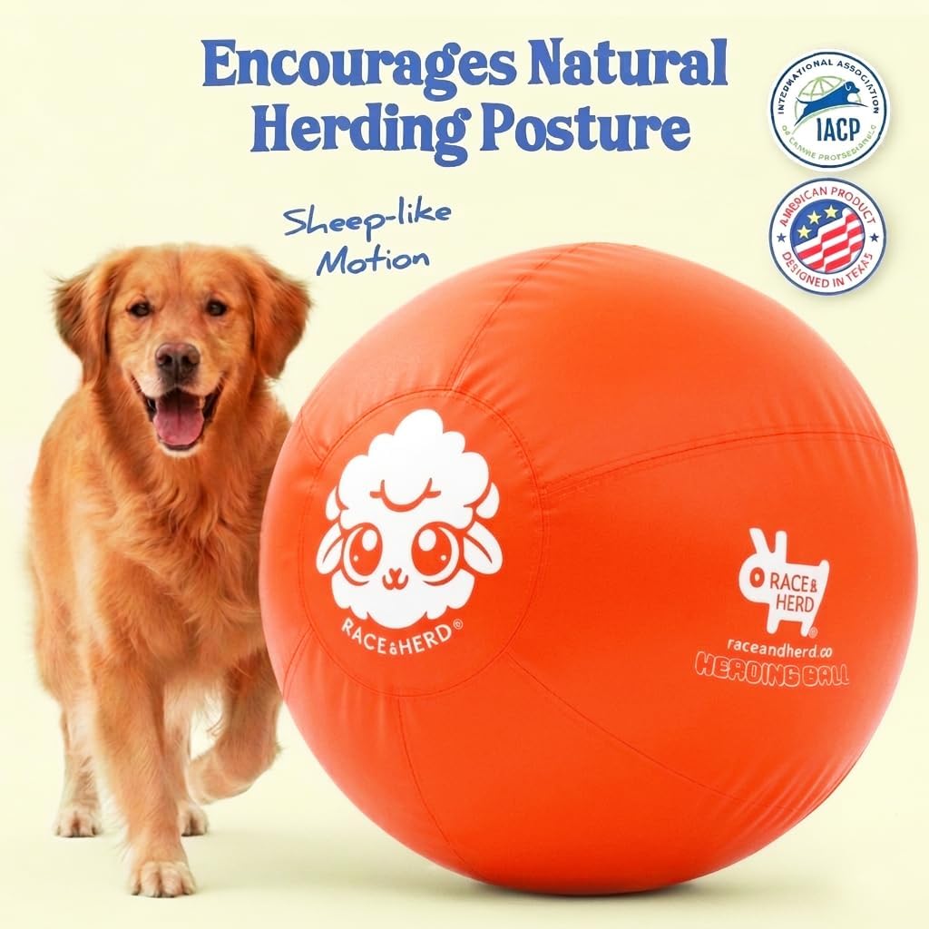 Race&Herd 30" Original XXL Herding Ball for Dogs - Herding Toys, Giant Dog Ball for Australian Shepherds, Border Collies - Durable Dog Outdoor Training Toy for Large Breeds & Horses (Tangerine)