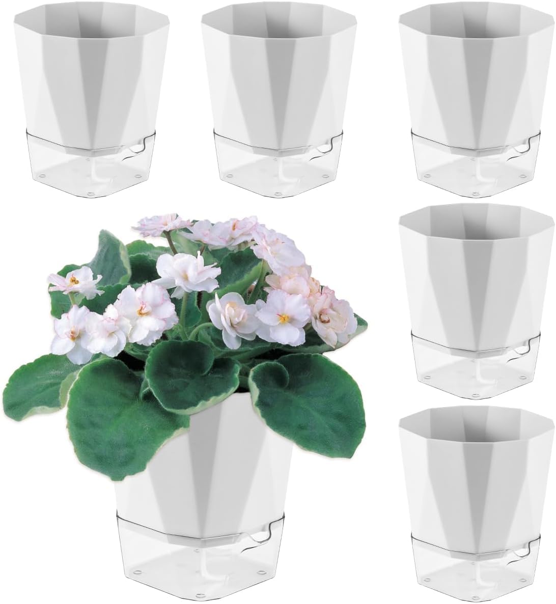 Raiz Self-Watering Pot Combo of 6 for Indoor Plants Best Flower Pots & Planters for Home Decor, Living Room, Kitchen, Bedroom, Table Top, Office| Plants not Included (White) (B0D849LZN8) Amazon Price History, Amazon Price Tracker