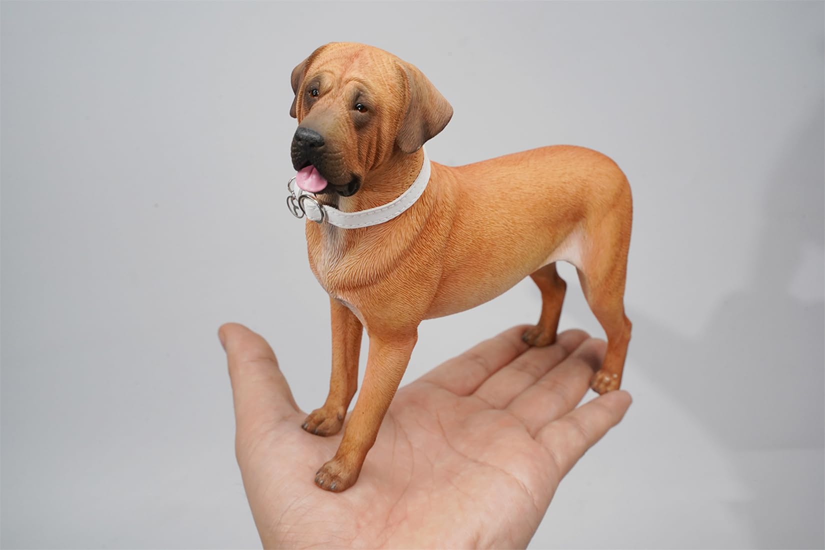 Amazon | 1/6 サイズ 土佐闘犬 土佐犬 フィギュア 闘犬 17.5CM級 樹脂