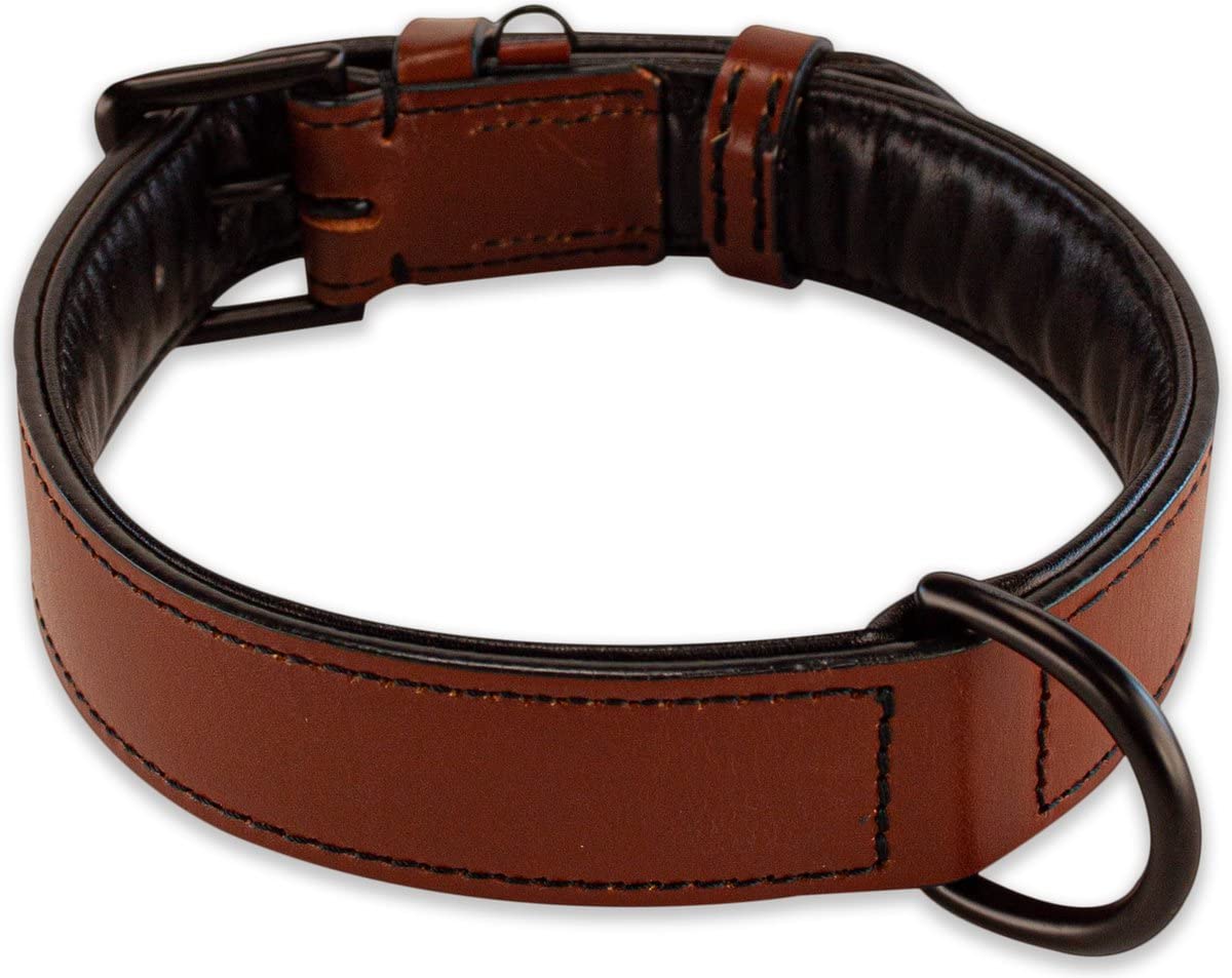 Brute Strength Collar Perro Marrón, Costuras Negras XXL · 66–73 x 3,5 cm