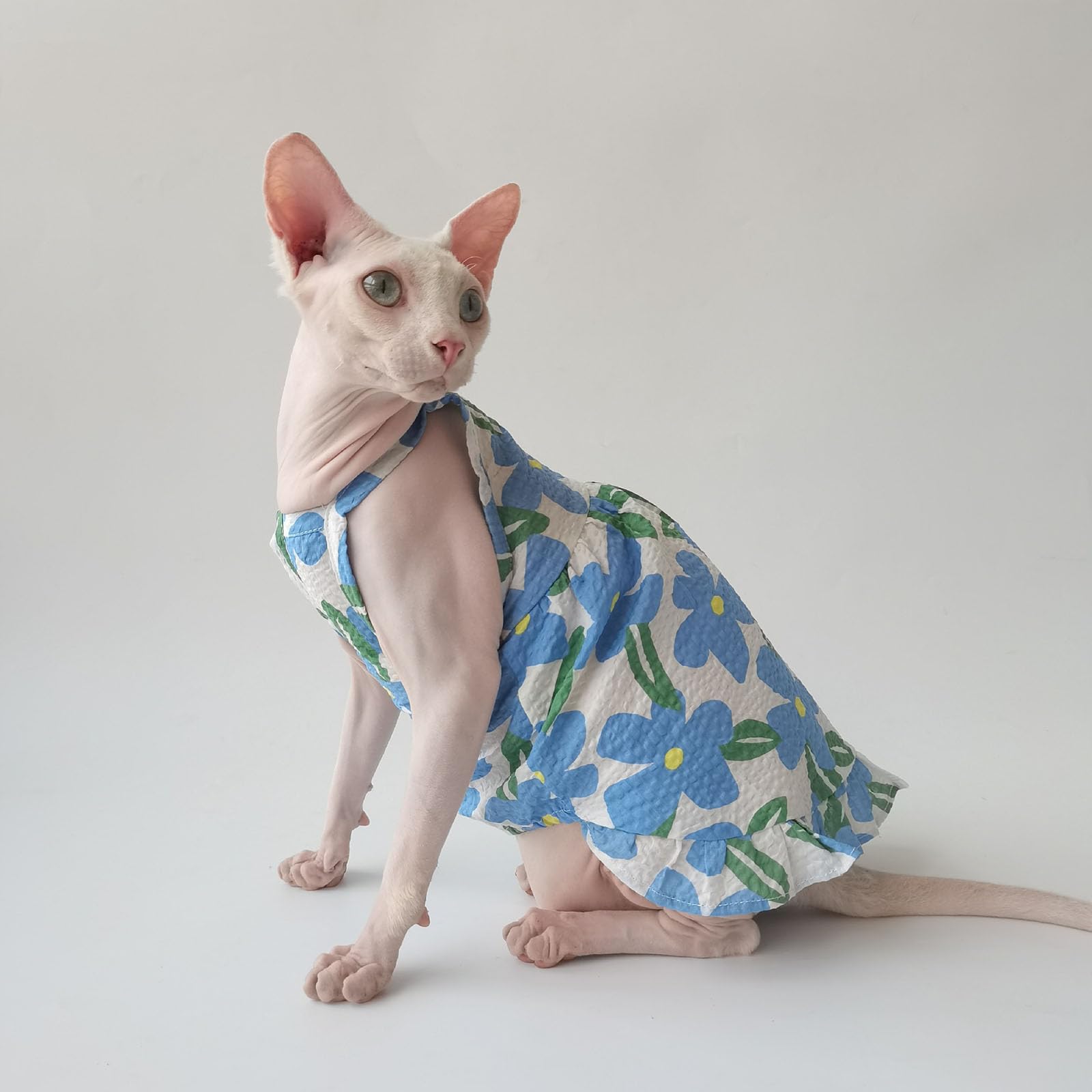 Amazon | UOSIA Sphynx無毛猫服母猫夏猫スカート猫Tシャツ子猫ベスト