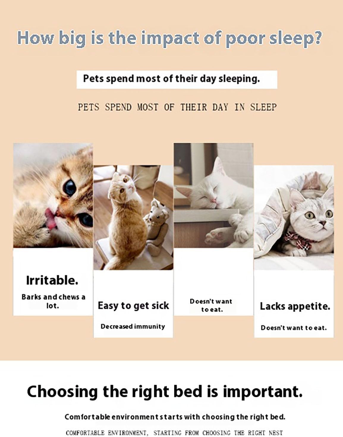 Teddybär-Hundebett – Plüsch-Haustier-Sofa für kleine Hunde und Katzen, 2025 Upgrade mit Armen und abnehmbarer Kühlmatte, waschbares, flauschiges Welpenbett mit rutschfester Unterseite (Beige, XL: 77