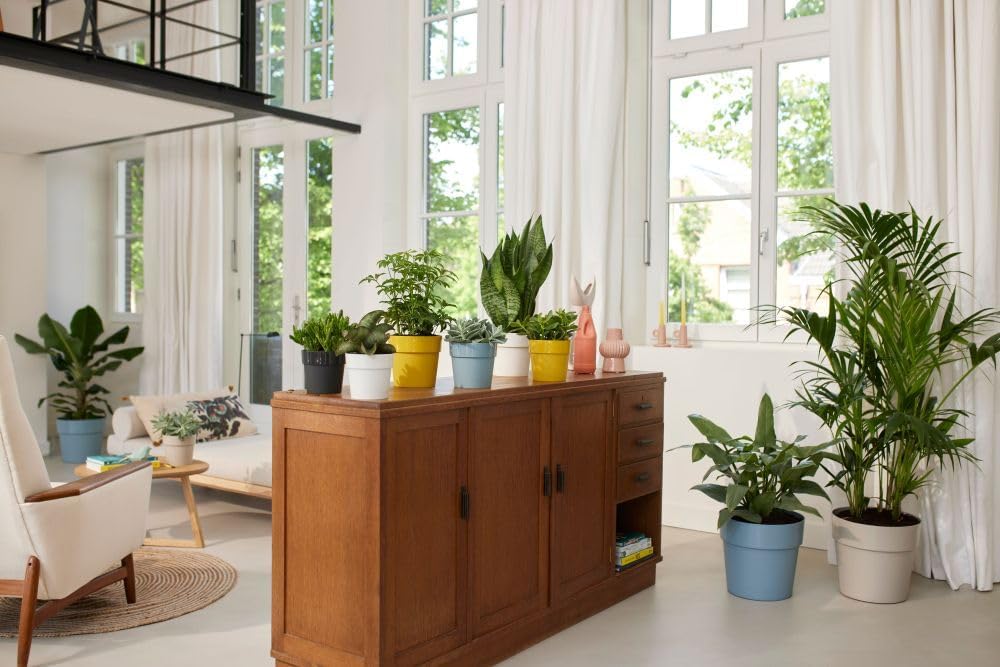 Elho B.for Original Round 25 - Flowerpot for Indoor - Ø 24.7 x H 23.2 cm - White