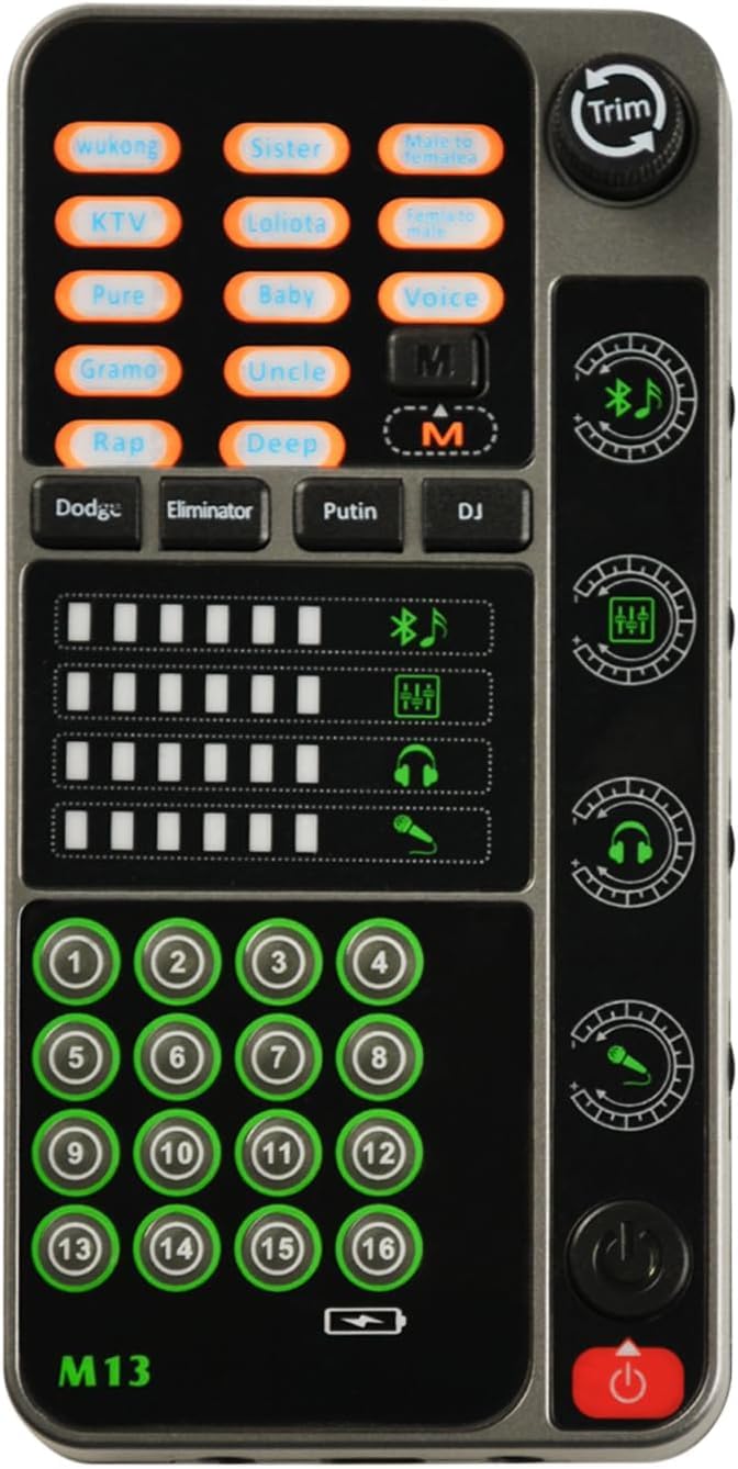 Flylin Changeur de voix portable microphone modulateur 16 effets sonores enregistrement jeu