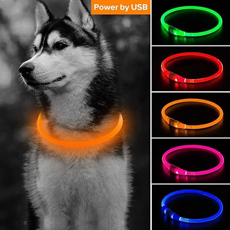 Amazon Platz Pet Supplises Fun プラッツ 犬用首輪 散歩用品 セーフティカラー グリーン 35センチメートル プラッツ Platz ベーシック首輪 通販