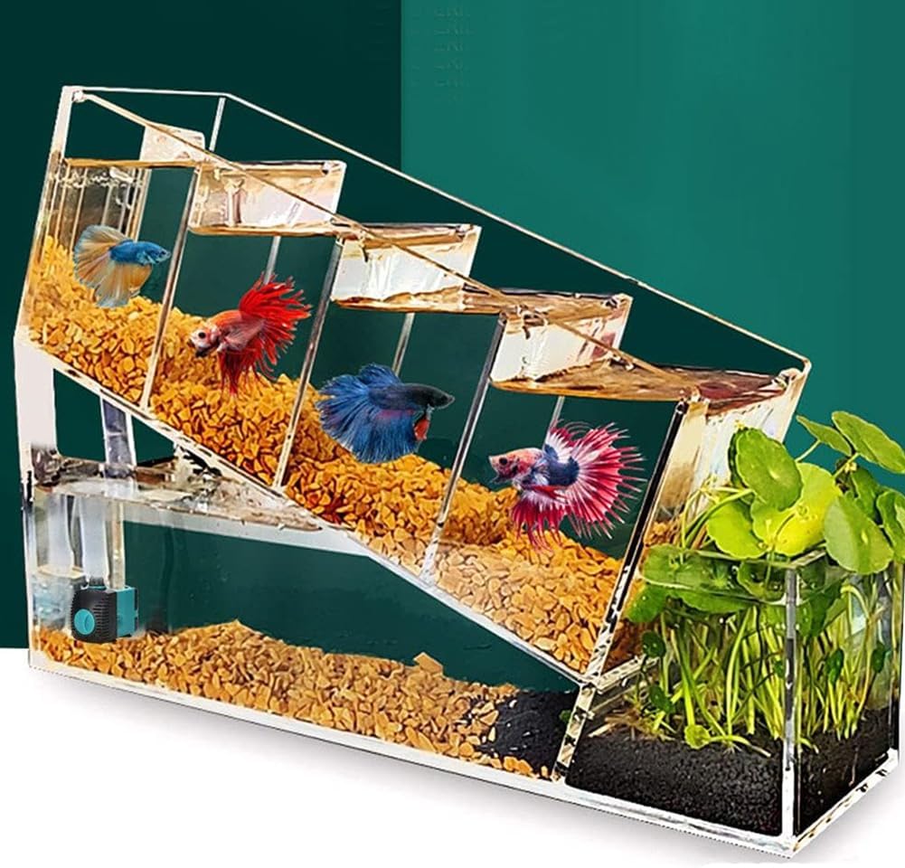 Betta Fish Tank with Water Pump, Acrylic Stepped Aquarium, Clear Mini Desktop Gold Fish Tank, Special Shaped Aquarium, Modern Betta Fish Tank with Removable Feeding Hole
