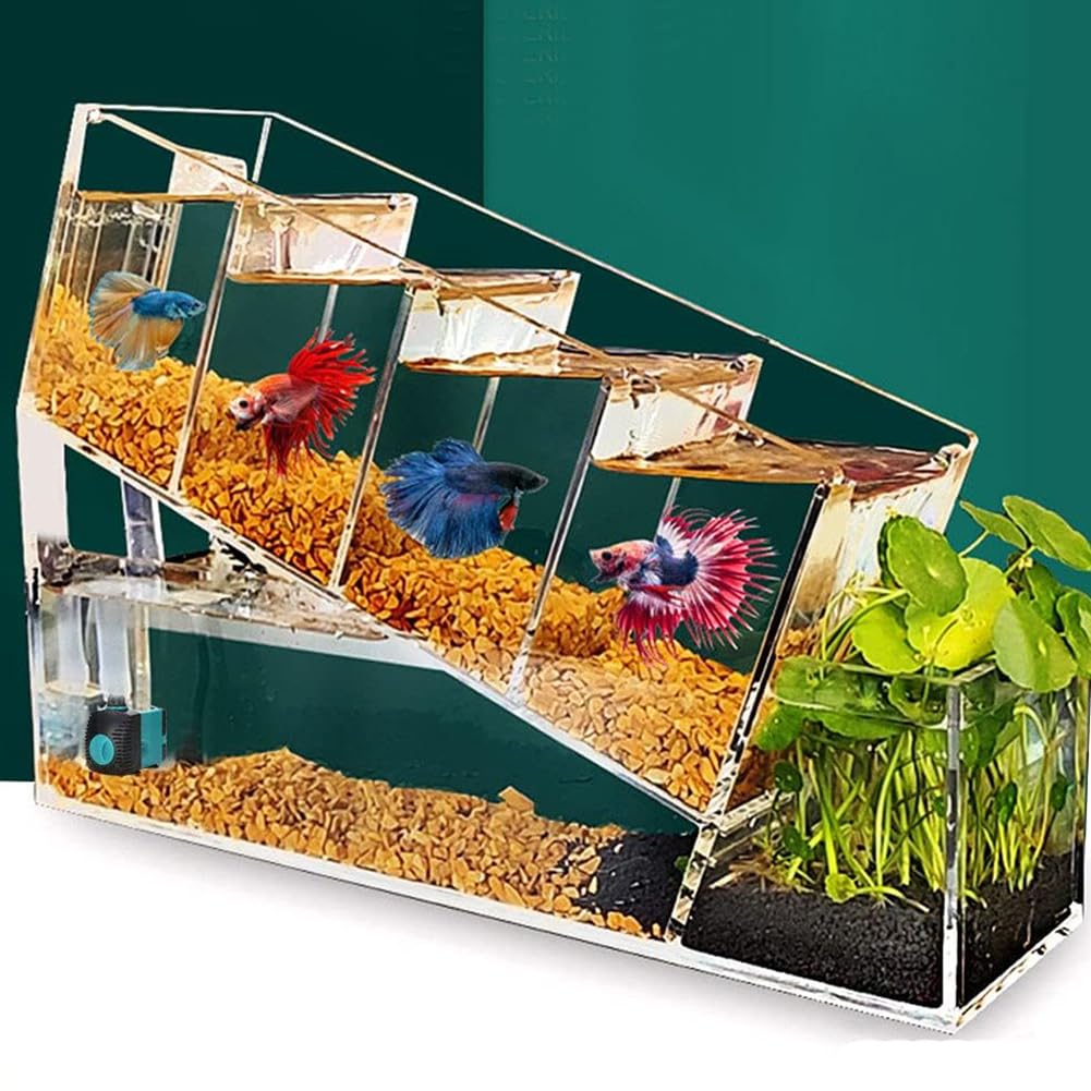Basta di Pesce Betta con Pompa dell'Acqua, Acquario A Gradini Acrilici, Bosco di Pesce Oro Desktop Trasparente, Moderno Serbatoio di Pesce Betta con Foro di Alimentazione Rimovibile