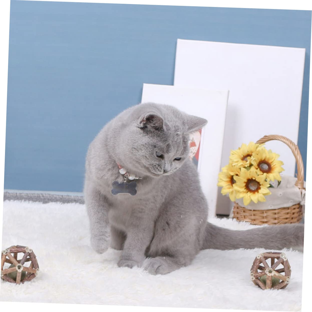 Kisangel 12piezas Juguetes De Molar para Gatos Catnip Bolas De Actinidia Polygama para Limpiar Dientes y Relajar Tu Mascota Juguetes Naturales para Gatos Medianos