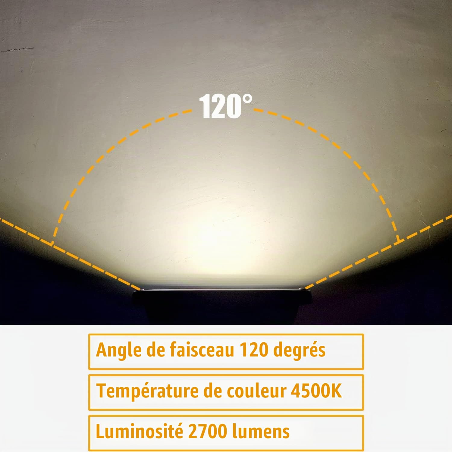Paquet de 2 Projecteurs 12V-24V DC, Projecteur LED Spot Exterieur 50W, Projecteur Etanche IP66 pour Jardin Extérieur,Jardin, Garage/Atelier,Patio