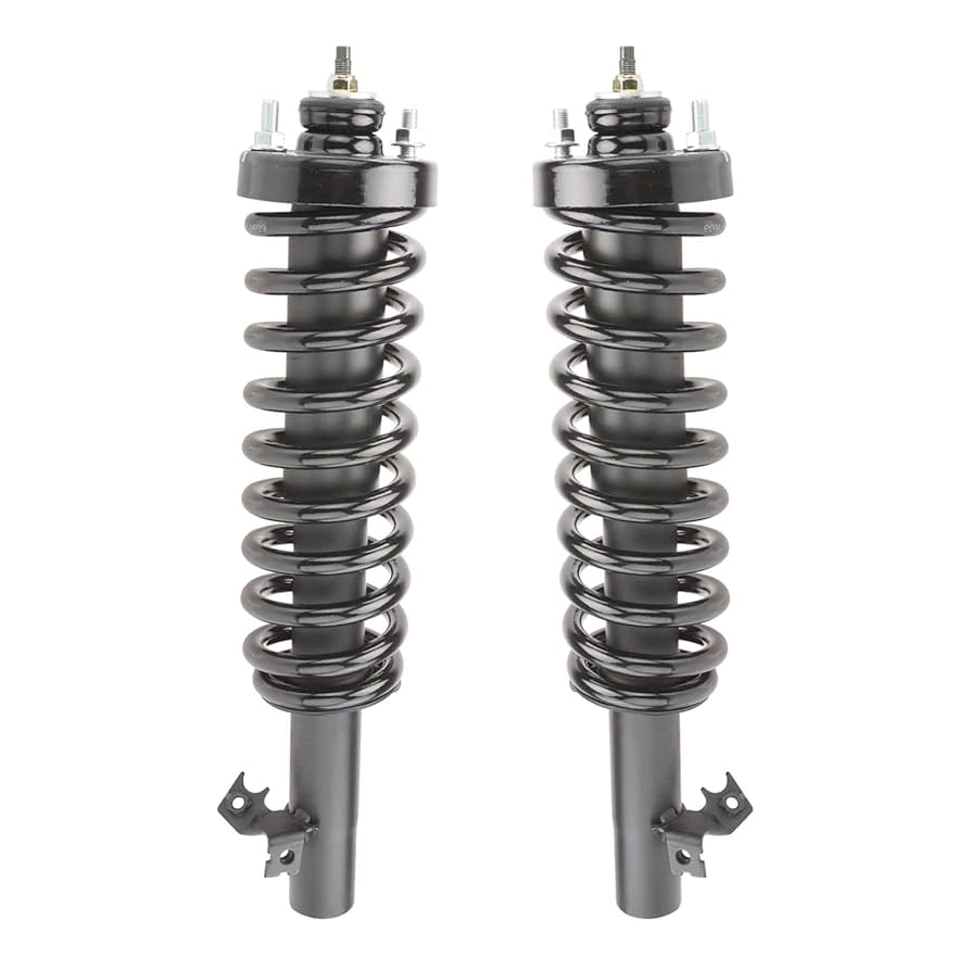 SAVOR1999です Amazon.com: Front Strut & Coil Spring Assembly Set Driver