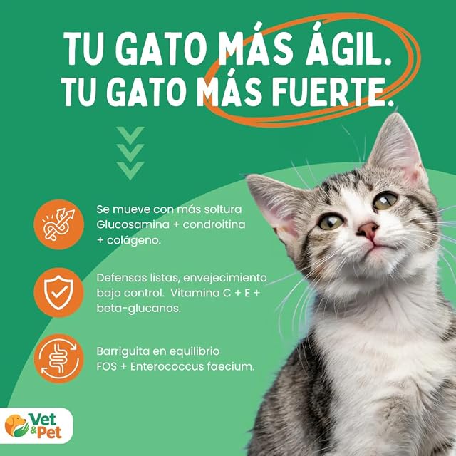 Foto 2 de 8 de BioActiveLabs Longevia Gatos Suplemento Antiedad Integral, Glucosamina, Condroitina, Omega-3, Taurina